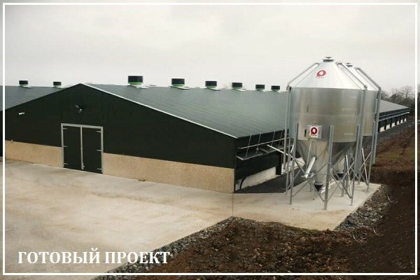 Этапы возведения птицефабрики от завода ВелесТент-чбк
